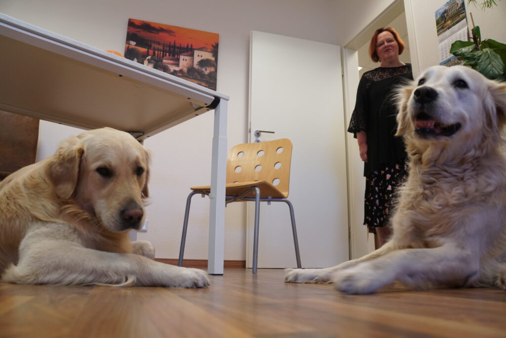 Logopädie Schüttorf die Hunde Nelly & Kalle